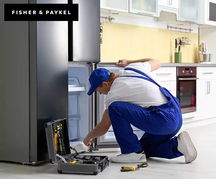 Top-Rated Fisher & Paykel Appliance Experts: Your Brand Specialist in Camp Pendleton, CA